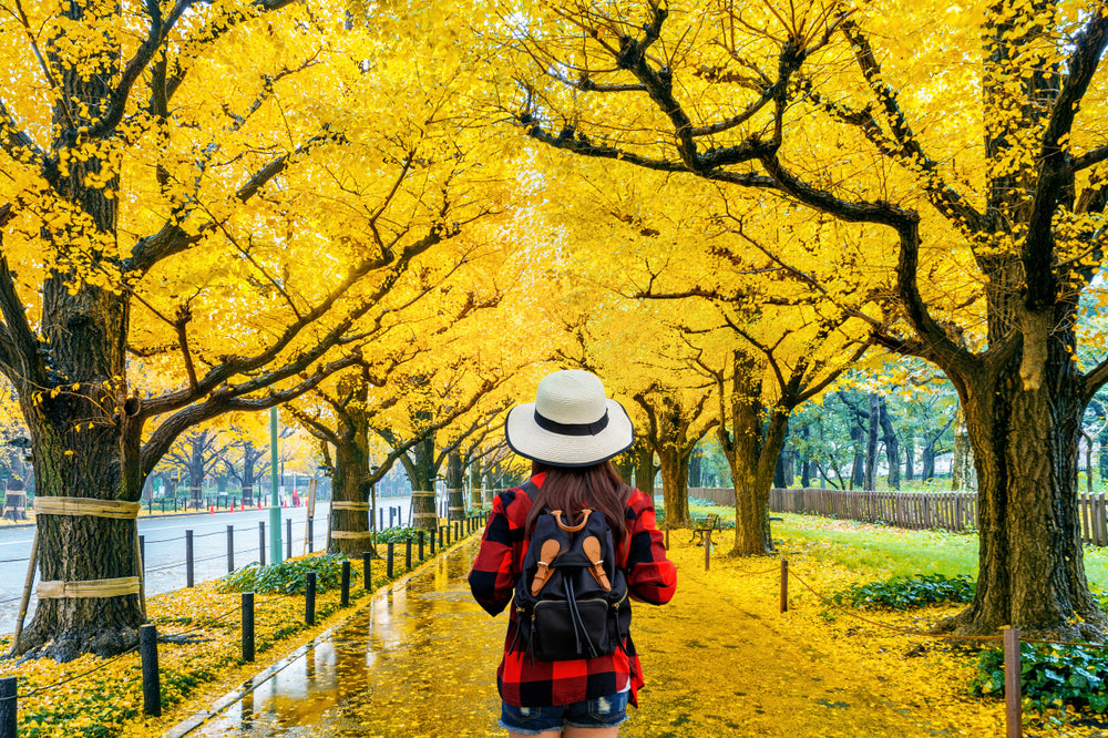 Backpacker's Guide to Japan: Essential Tips for Your Adventure