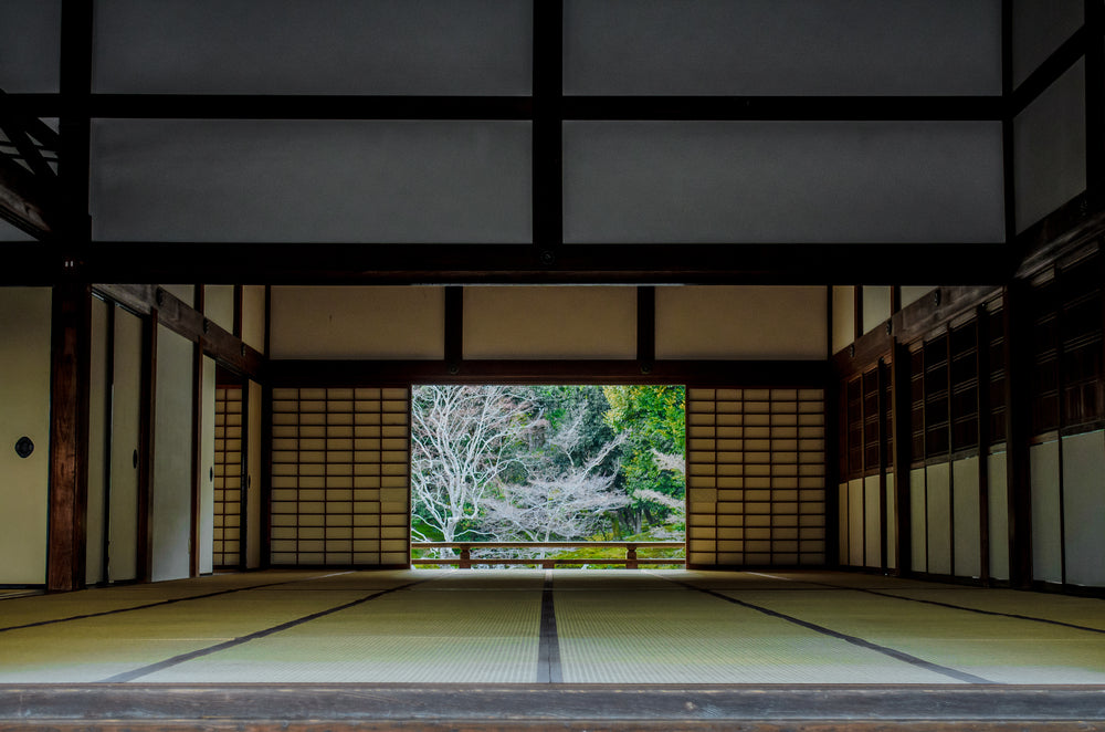 Honoring the Dojo: A Deep Dive into Japan's Martial Arts Sanctuaries