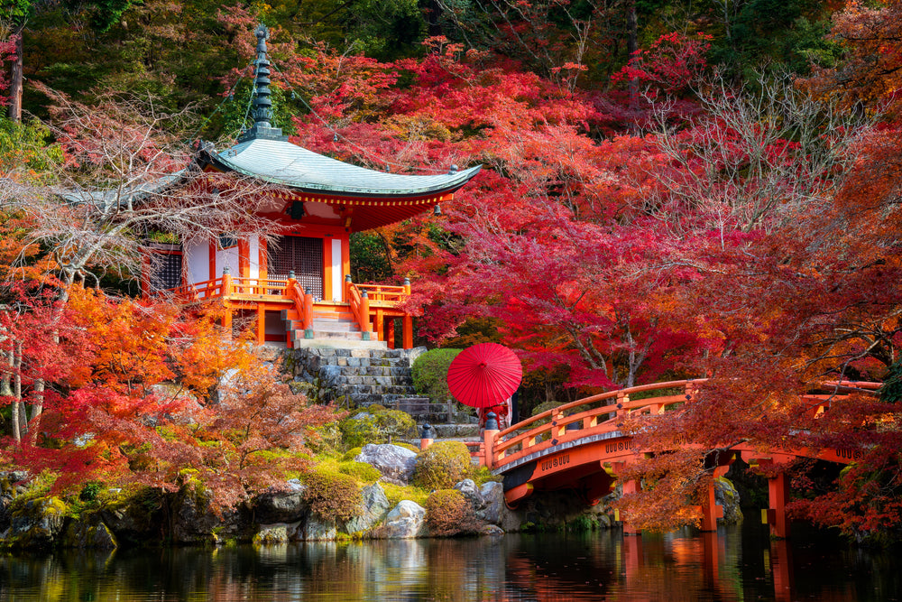 Kyoto Foliage in Full Bloom: A Tourist’s Guide to Japanese Autumn Colors