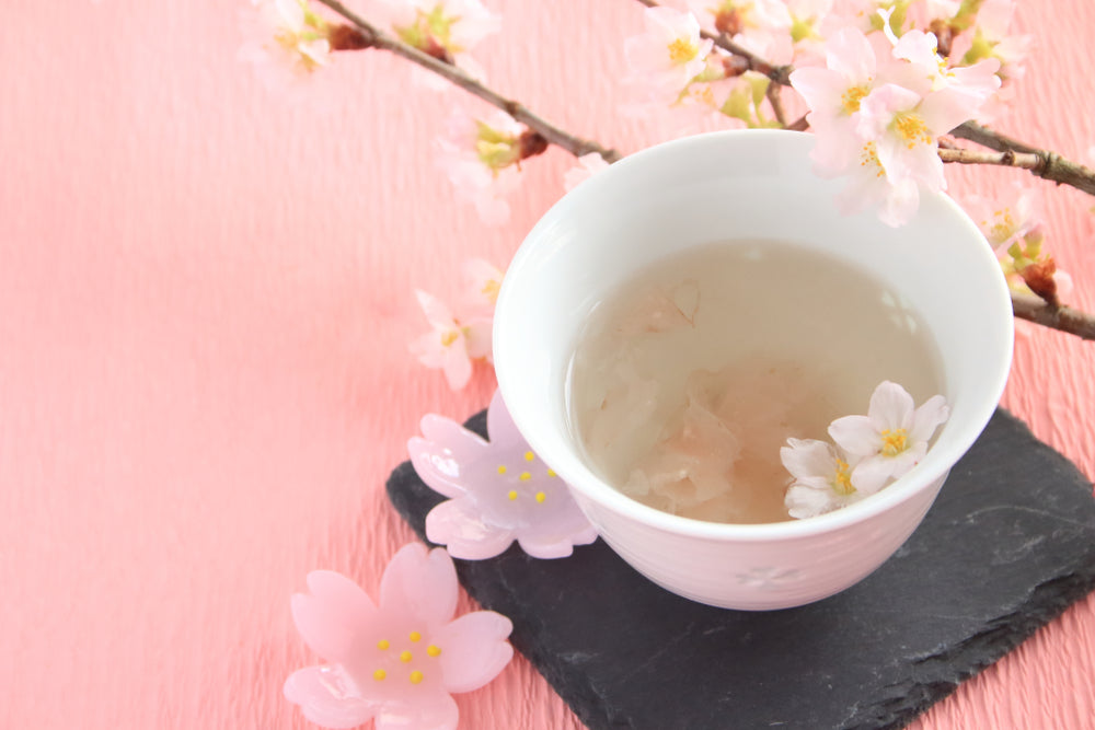 Sakura Tea: A Taste of Japan’s Cherry Blossom Season in Every Sip