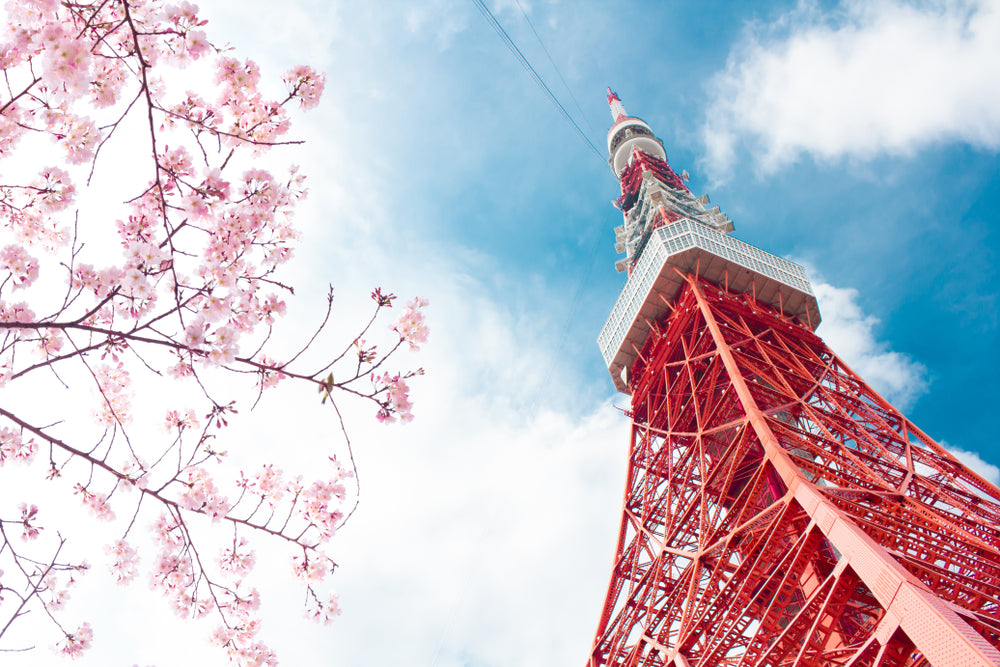 Elevating Your Tokyo Experience: A Complete Guide to Tokyo Tower