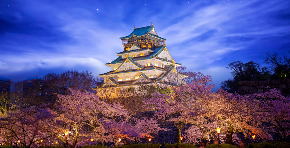Tokyo After Dark: Discovering the Best Spots for Nighttime Sakura Viewing