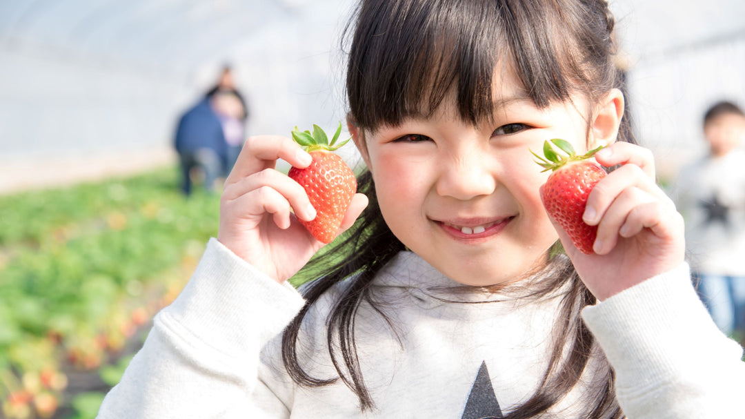 Why Amaou is the "King" of Japanese Strawberries