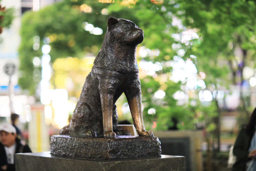 A statue of Hachiko the dog.