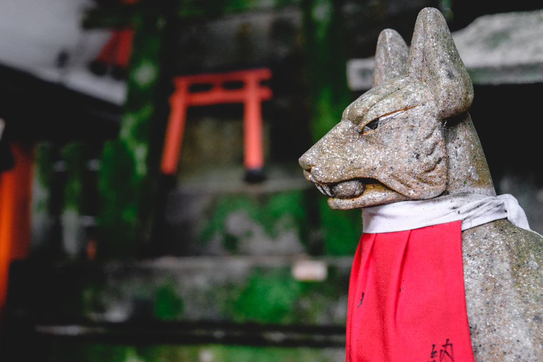 A Guide to Japanese Monsters: What is a Kitsune