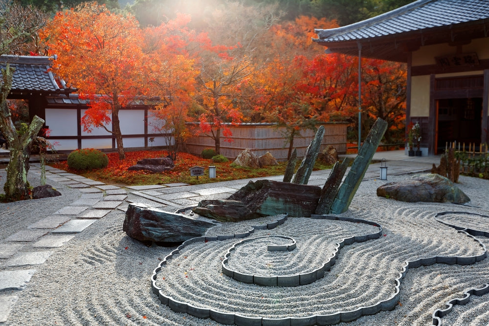 Zen Gardens And What Makes Them Special