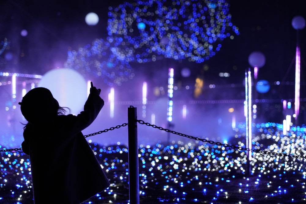 A Winter's Tale in Tokyo: Seasonal Attractions and Events in 2024