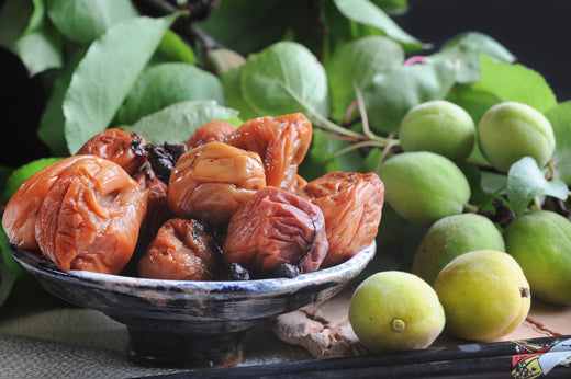 Everything You Need to Know About Umeboshi: Japan’s Traditional Pickled Plum