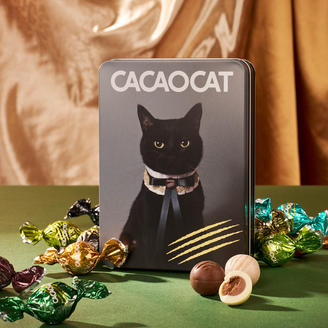 CACAOCAT Chocolate Gift Tin (14 Pieces, 14 Flavors)