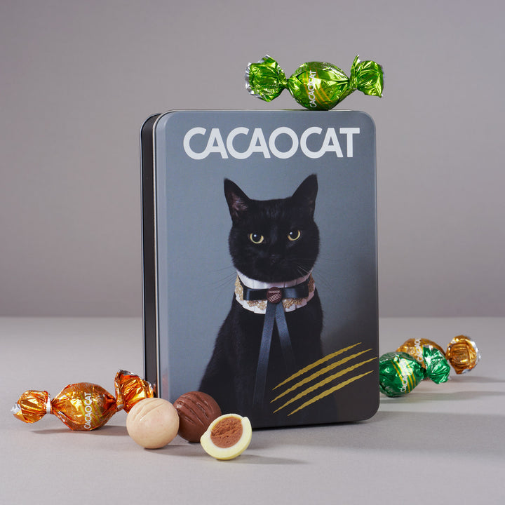 CACAOCAT Chocolate Gift Tin (14 Pieces, 14 Flavors) thumbnail 2